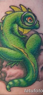 фото тату Игуана от 09.02.2018 №024 — Iguana tattoo — tatufoto.com