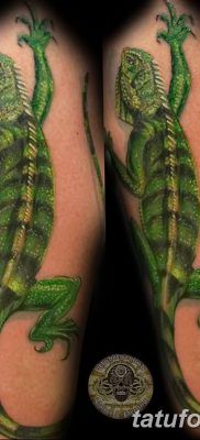 фото тату Игуана от 09.02.2018 №025 — Iguana tattoo — tatufoto.com