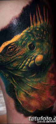 фото тату Игуана от 09.02.2018 №028 — Iguana tattoo — tatufoto.com