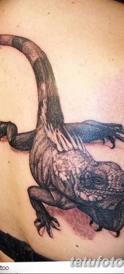 фото тату Игуана от 09.02.2018 №030 — Iguana tattoo — tatufoto.com