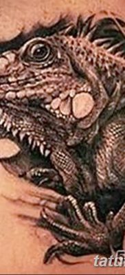 фото тату Игуана от 09.02.2018 №033 — Iguana tattoo — tatufoto.com