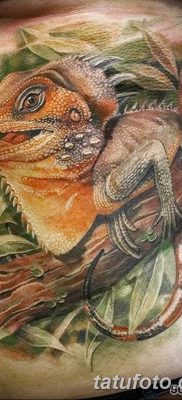 фото тату Игуана от 09.02.2018 №034 — Iguana tattoo — tatufoto.com