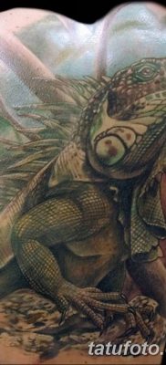 фото тату Игуана от 09.02.2018 №036 — Iguana tattoo — tatufoto.com