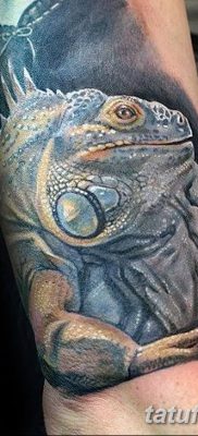 фото тату Игуана от 09.02.2018 №037 — Iguana tattoo — tatufoto.com