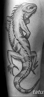 фото тату Игуана от 09.02.2018 №038 — Iguana tattoo — tatufoto.com