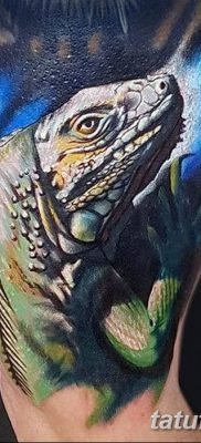 фото тату Игуана от 09.02.2018 №039 — Iguana tattoo — tatufoto.com