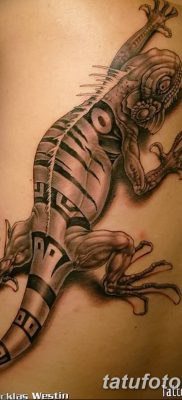 фото тату Игуана от 09.02.2018 №041 — Iguana tattoo — tatufoto.com