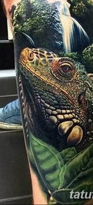 фото тату Игуана от 09.02.2018 №044 — Iguana tattoo — tatufoto.com