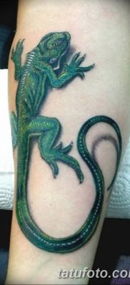 фото тату Игуана от 09.02.2018 №048 — Iguana tattoo — tatufoto.com
