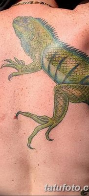фото тату Игуана от 09.02.2018 №050 — Iguana tattoo — tatufoto.com