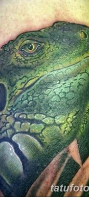 фото тату Игуана от 09.02.2018 №051 — Iguana tattoo — tatufoto.com