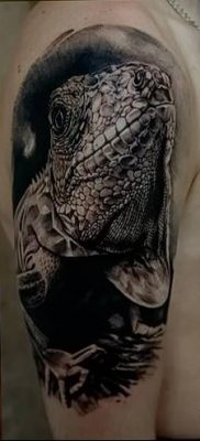 фото тату Игуана от 09.02.2018 №052 — Iguana tattoo — tatufoto.com