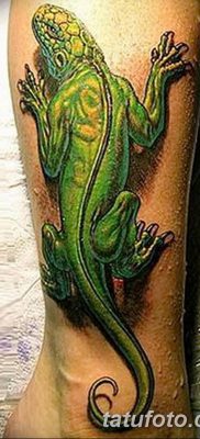 фото тату Игуана от 09.02.2018 №053 — Iguana tattoo — tatufoto.com