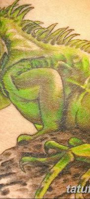 фото тату Игуана от 09.02.2018 №054 — Iguana tattoo — tatufoto.com