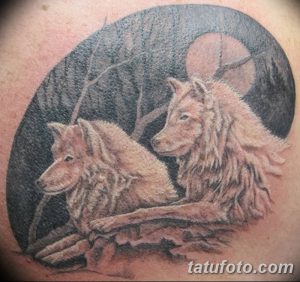 фото тату белый волк от 07.02.2018 №001 - white wolf tattoo - tatufoto.com