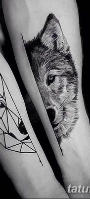 фото тату белый волк от 07.02.2018 №008 — white wolf tattoo — tatufoto.com