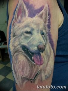 фото тату белый волк от 07.02.2018 №009 - white wolf tattoo - tatufoto.com