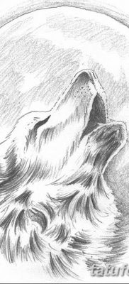 фото тату белый волк от 07.02.2018 №010 — white wolf tattoo — tatufoto.com