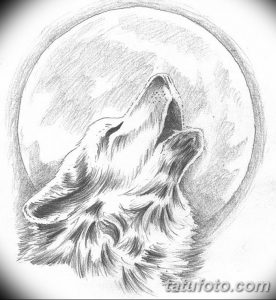 фото тату белый волк от 07.02.2018 №010 - white wolf tattoo - tatufoto.com