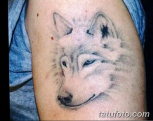 фото тату белый волк от 07.02.2018 №011 - white wolf tattoo - tatufoto.com