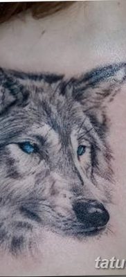 фото тату белый волк от 07.02.2018 №012 — white wolf tattoo — tatufoto.com