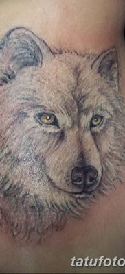 фото тату белый волк от 07.02.2018 №013 — white wolf tattoo — tatufoto.com