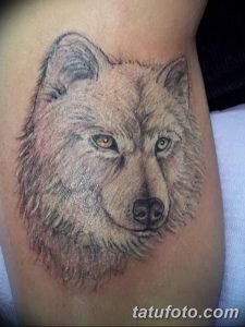 фото тату белый волк от 07.02.2018 №013 - white wolf tattoo - tatufoto.com