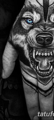 фото тату белый волк от 07.02.2018 №014 — white wolf tattoo — tatufoto.com