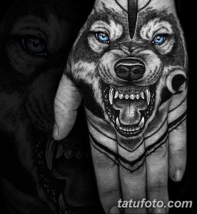 фото тату белый волк от 07.02.2018 №014 - white wolf tattoo - tatufoto.com