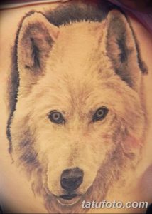 фото тату белый волк от 07.02.2018 №015 - white wolf tattoo - tatufoto.com