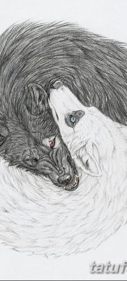 фото тату белый волк от 07.02.2018 №018 — white wolf tattoo — tatufoto.com