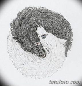 фото тату белый волк от 07.02.2018 №018 - white wolf tattoo - tatufoto.com