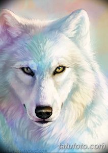 фото тату белый волк от 07.02.2018 №019 - white wolf tattoo - tatufoto.com