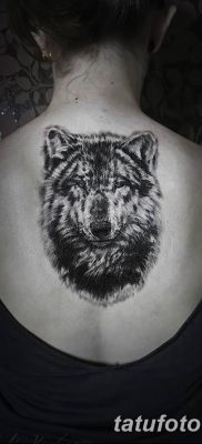 фото тату белый волк от 07.02.2018 №021 — white wolf tattoo — tatufoto.com