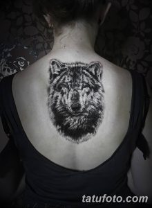 фото тату белый волк от 07.02.2018 №021 - white wolf tattoo - tatufoto.com