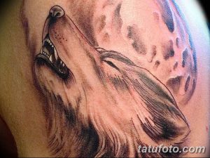 фото тату белый волк от 07.02.2018 №025 - white wolf tattoo - tatufoto.com