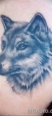 фото тату белый волк от 07.02.2018 №027 — white wolf tattoo — tatufoto.com