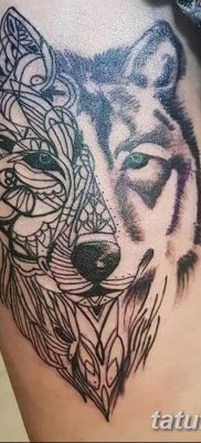 фото тату белый волк от 07.02.2018 №028 — white wolf tattoo — tatufoto.com
