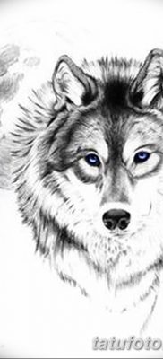 фото тату белый волк от 07.02.2018 №034 — white wolf tattoo — tatufoto.com