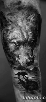 фото тату белый волк от 07.02.2018 №042 — white wolf tattoo — tatufoto.com