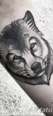 фото тату белый волк от 07.02.2018 №046 — white wolf tattoo — tatufoto.com