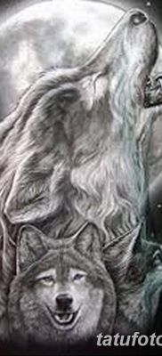 фото тату белый волк от 07.02.2018 №047 — white wolf tattoo — tatufoto.com