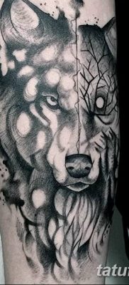фото тату белый волк от 07.02.2018 №051 — white wolf tattoo — tatufoto.com