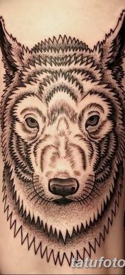 фото тату белый волк от 07.02.2018 №053 — white wolf tattoo — tatufoto.com