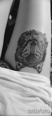 фото тату белый волк от 07.02.2018 №057 — white wolf tattoo — tatufoto.com