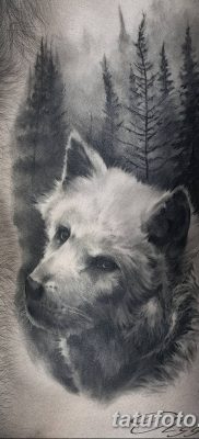 фото тату белый волк от 07.02.2018 №060 — white wolf tattoo — tatufoto.com