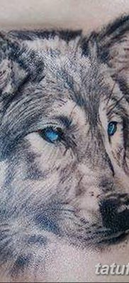 фото тату белый волк от 07.02.2018 №061 — white wolf tattoo — tatufoto.com