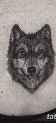 фото тату белый волк от 07.02.2018 №062 — white wolf tattoo — tatufoto.com