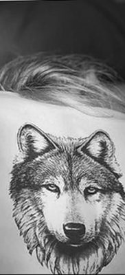 фото тату белый волк от 07.02.2018 №066 — white wolf tattoo — tatufoto.com