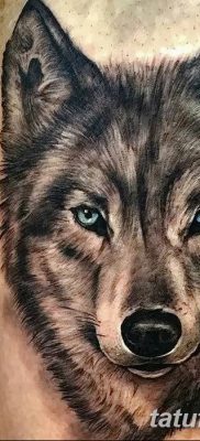фото тату белый волк от 07.02.2018 №068 — white wolf tattoo — tatufoto.com